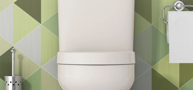 Avoiding Expensive Toilet Repairs: Common Causes and How to Fix Them