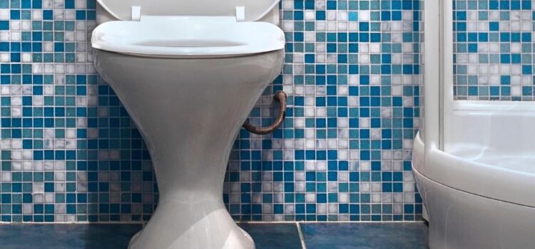 When Should I Replace My Toilet?